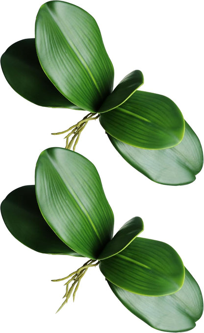 2pcs Real Touch Orchid Stems Green Fake Leaves Phalaenopsis Orchids Artificial Flowers Greenery Fake Plant Leaf for Vase Filler Flower Arrangements Supplies Cymbidium Pot Decor