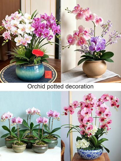 2pcs Real Touch Orchid Stems Green Fake Leaves Phalaenopsis Orchids Artificial Flowers Greenery Fake Plant Leaf for Vase Filler Flower Arrangements Supplies Cymbidium Pot Decor