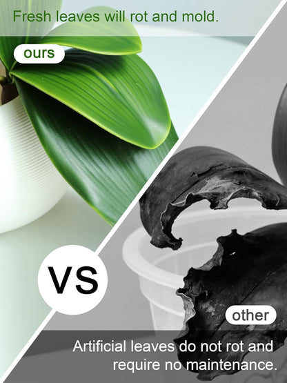 2pcs Real Touch Orchid Stems Green Fake Leaves Phalaenopsis Orchids Artificial Flowers Greenery Fake Plant Leaf for Vase Filler Flower Arrangements Supplies Cymbidium Pot Decor