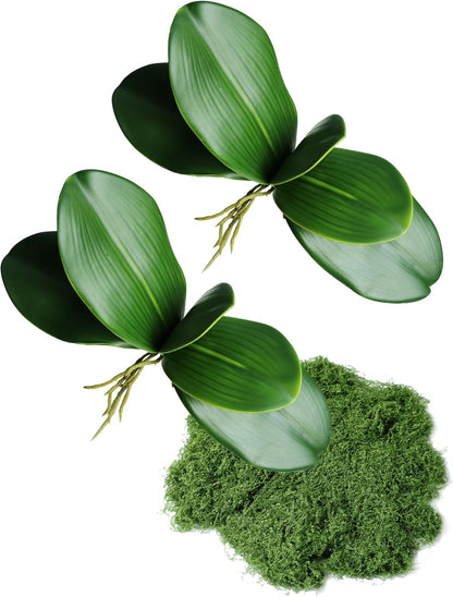 2pcs Real Touch Orchid Stems Green Fake Leaves Phalaenopsis Orchids Artificial Flowers Greenery Fake Plant Leaf for Vase Filler Flower Arrangements Supplies Cymbidium Pot Decor