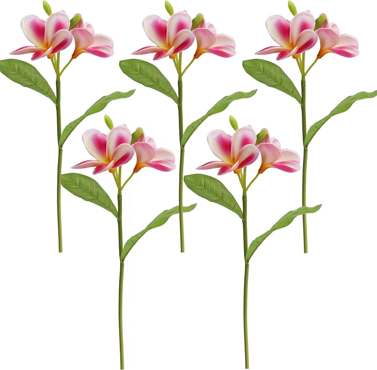 5PCS PU Real Touch Lifelike Artificial Plumeria Frangipani Flower Stems Wedding Home Party Spring Flowers Decoration (Orange Pink)