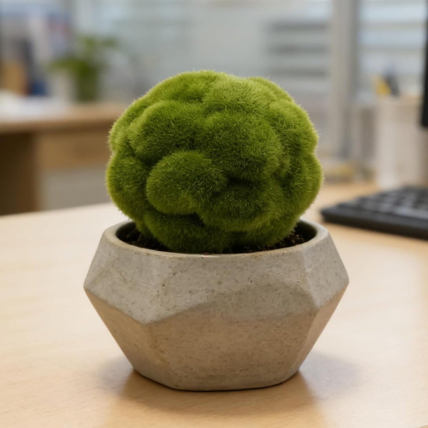 6 PCS Green Moss Ball Decorations, Simulated Moss Balls, Artificial Plant Decorations, Suitable for Garden Wedding Party Decorations