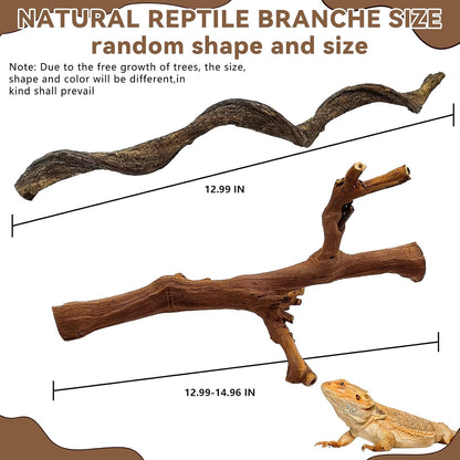 2PCS Reptile Wood Branches Decor,Lizard Habitat Natural Wood Decoration,Snake Climbing Branch Accessories,Terrarium Tree Trunk Ornament for Bearded Dragon Gecko Frog Chameleon Spider