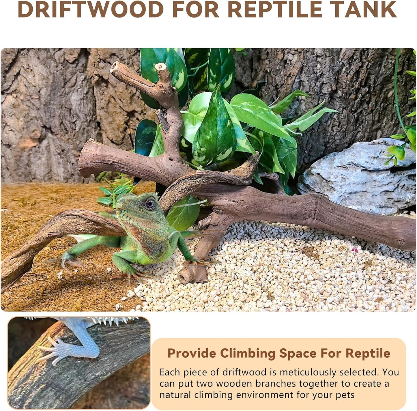 2PCS Reptile Wood Branches Decor,Lizard Habitat Natural Wood Decoration,Snake Climbing Branch Accessories,Terrarium Tree Trunk Ornament for Bearded Dragon Gecko Frog Chameleon Spider
