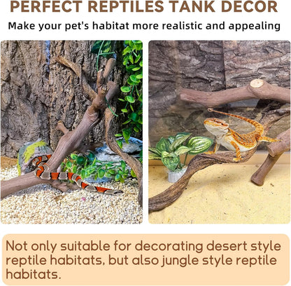 2PCS Reptile Wood Branches Decor,Lizard Habitat Natural Wood Decoration,Snake Climbing Branch Accessories,Terrarium Tree Trunk Ornament for Bearded Dragon Gecko Frog Chameleon Spider
