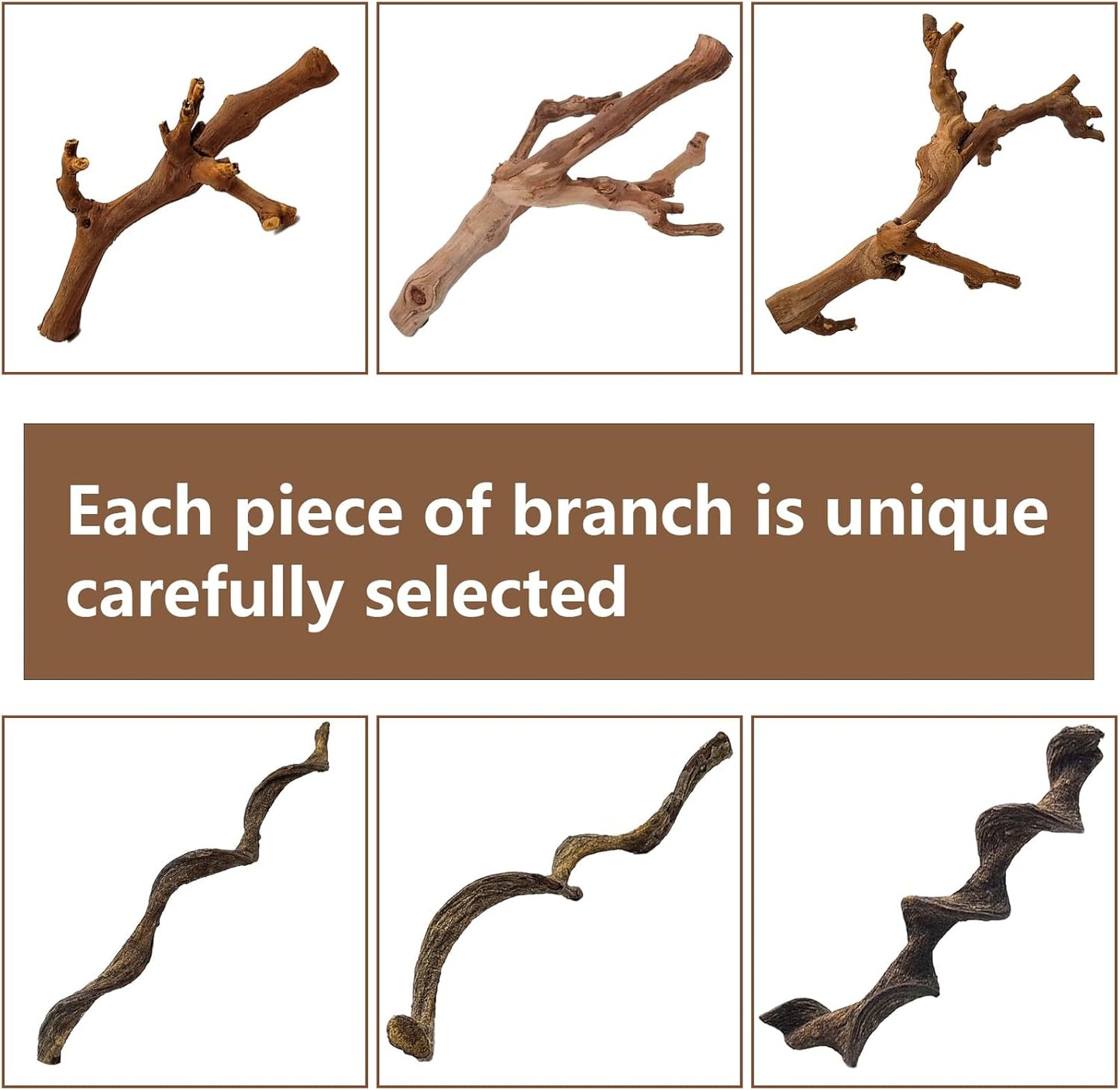 2PCS Reptile Wood Branches Decor,Lizard Habitat Natural Wood Decoration,Snake Climbing Branch Accessories,Terrarium Tree Trunk Ornament for Bearded Dragon Gecko Frog Chameleon Spider