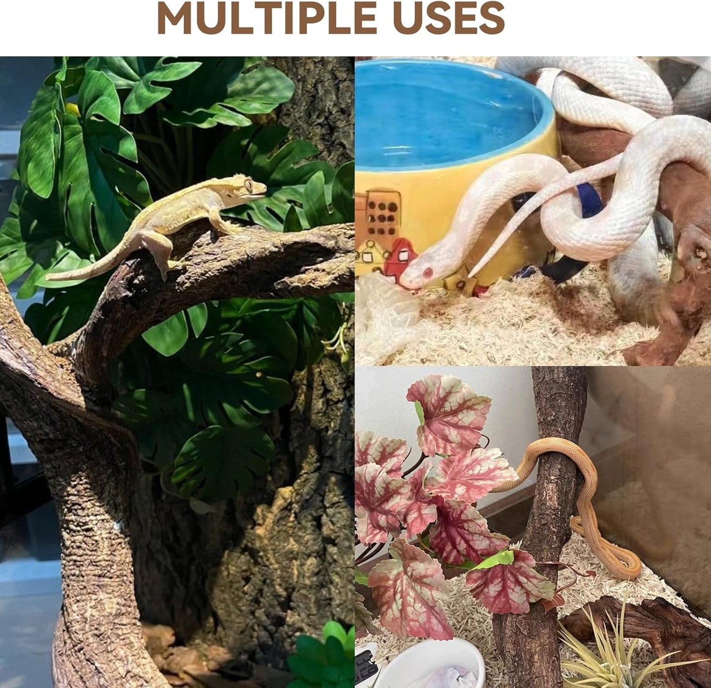 2PCS Reptile Wood Branches Decor,Lizard Habitat Natural Wood Decoration,Snake Climbing Branch Accessories,Terrarium Tree Trunk Ornament for Bearded Dragon Gecko Frog Chameleon Spider