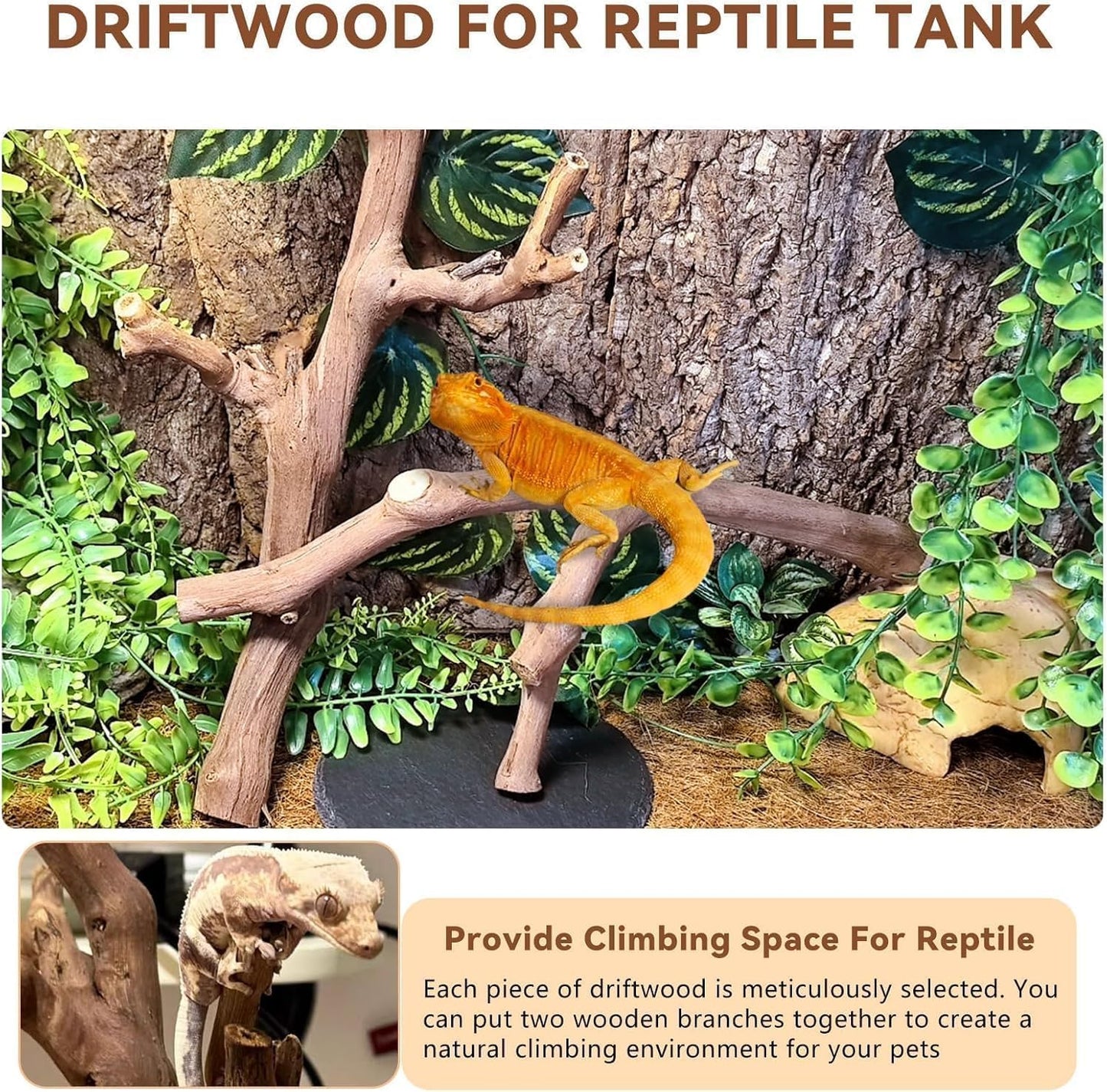 2PCS Reptile Wood Branches Decor,Lizard Habitat Natural Wood Decoration,Snake Climbing Branch Accessories,Terrarium Tree Trunk Ornament for Bearded Dragon Gecko Frog Chameleon Spider