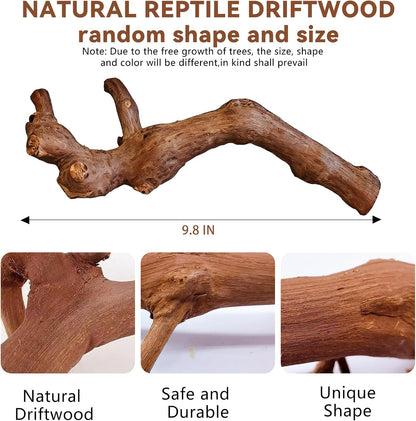 2PCS Reptile Wood Branches Decor,Lizard Habitat Natural Wood Decoration,Snake Climbing Branch Accessories,Terrarium Tree Trunk Ornament for Bearded Dragon Gecko Frog Chameleon Spider