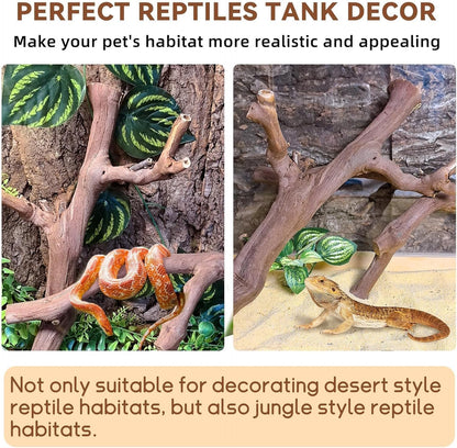 2PCS Reptile Wood Branches Decor,Lizard Habitat Natural Wood Decoration,Snake Climbing Branch Accessories,Terrarium Tree Trunk Ornament for Bearded Dragon Gecko Frog Chameleon Spider