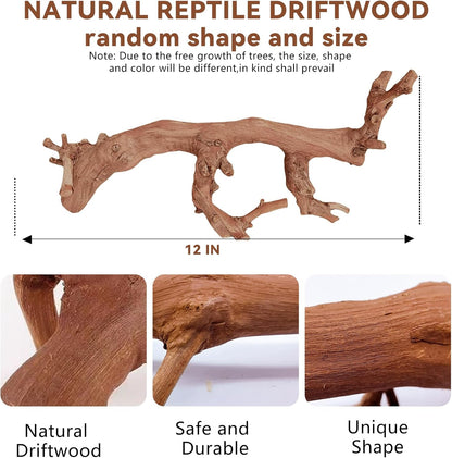 2PCS Reptile Wood Branches Decor,Lizard Habitat Natural Wood Decoration,Snake Climbing Branch Accessories,Terrarium Tree Trunk Ornament for Bearded Dragon Gecko Frog Chameleon Spider
