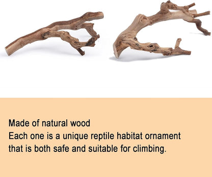 2PCS Reptile Wood Branches Decor,Lizard Habitat Natural Wood Decoration,Snake Climbing Branch Accessories,Terrarium Tree Trunk Ornament for Bearded Dragon Gecko Frog Chameleon Spider