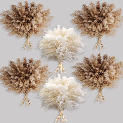 Boho Decor, Fluffy Pompas Grass, Natural Dry Pampas Grass Small, Short Pampass Bulk for Boho Room Decor, Coffee Table Decor (17 inch)