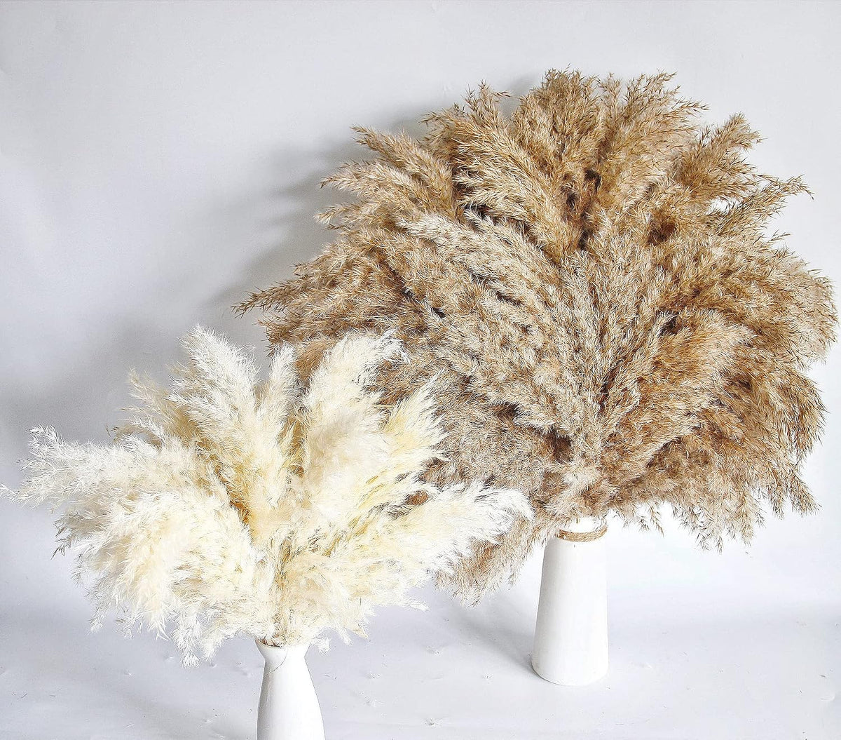 Boho Decor, Fluffy Pompas Grass, Natural Dry Pampas Grass Small, Short Pampass Bulk for Boho Room Decor, Coffee Table Decor (17 inch)