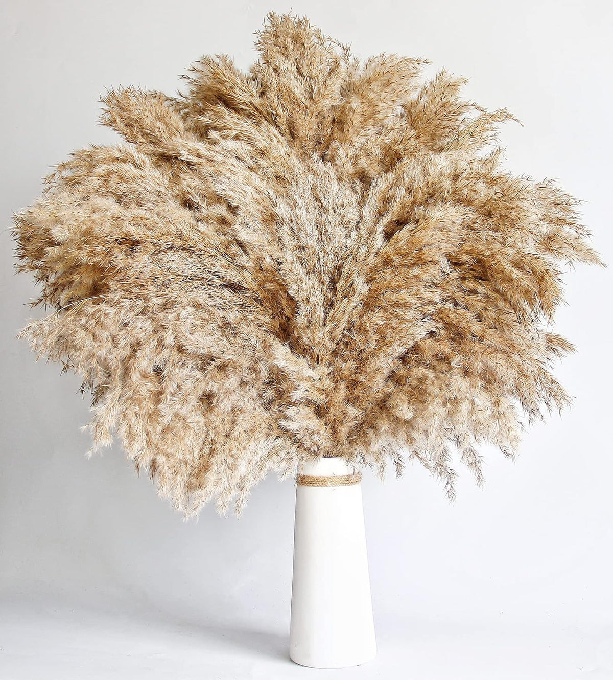 Boho Decor, Fluffy Pompas Grass, Natural Dry Pampas Grass Small, Short Pampass Bulk for Boho Room Decor, Coffee Table Decor (17 inch)