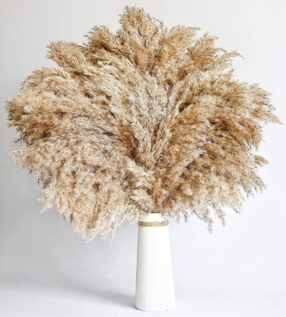 Boho Decor, Fluffy Pompas Grass, Natural Dry Pampas Grass Small, Short Pampass Bulk for Boho Room Decor, Coffee Table Decor (17 inch)