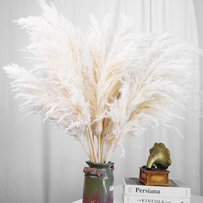 Boho Decor, Fluffy Pompas Grass, Natural Dry Pampas Grass Small, Short Pampass Bulk for Boho Room Decor, Coffee Table Decor (17 inch)