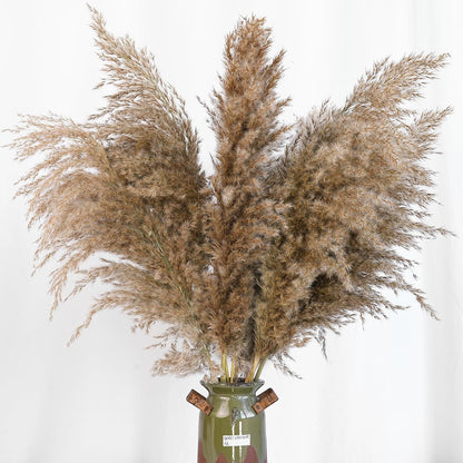 Boho Decor, Fluffy Pompas Grass, Natural Dry Pampas Grass Small, Short Pampass Bulk for Boho Room Decor, Coffee Table Decor (17 inch)