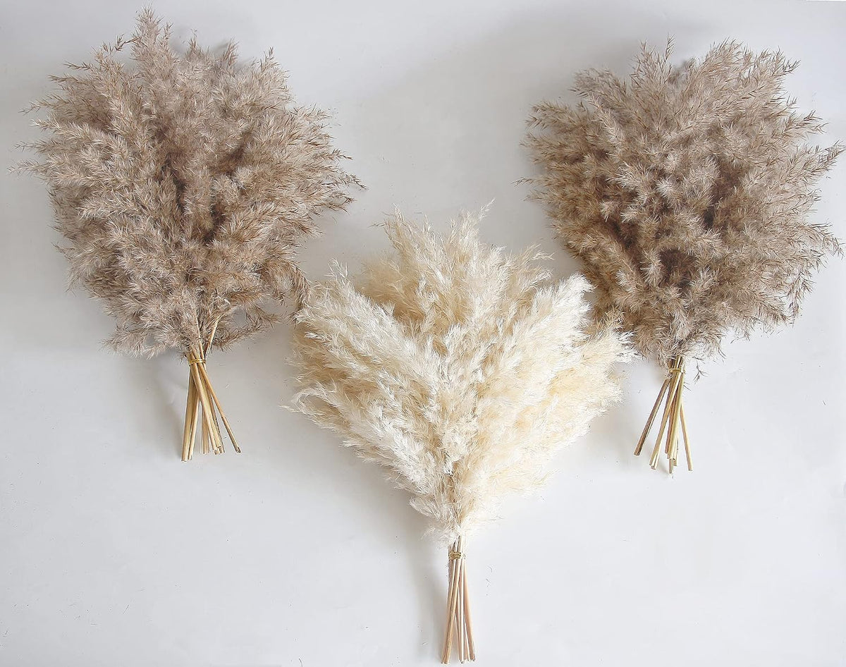 Boho Decor, Fluffy Pompas Grass, Natural Dry Pampas Grass Small, Short Pampass Bulk for Boho Room Decor, Coffee Table Decor (17 inch)