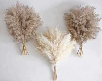 Boho Decor, Fluffy Pompas Grass, Natural Dry Pampas Grass Small, Short Pampass Bulk for Boho Room Decor, Coffee Table Decor (17 inch)