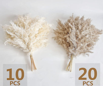 Boho Decor, Fluffy Pompas Grass, Natural Dry Pampas Grass Small, Short Pampass Bulk for Boho Room Decor, Coffee Table Decor (17 inch)