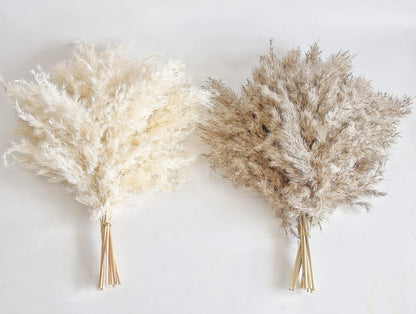 Boho Decor, Fluffy Pompas Grass, Natural Dry Pampas Grass Small, Short Pampass Bulk for Boho Room Decor, Coffee Table Decor (17 inch)