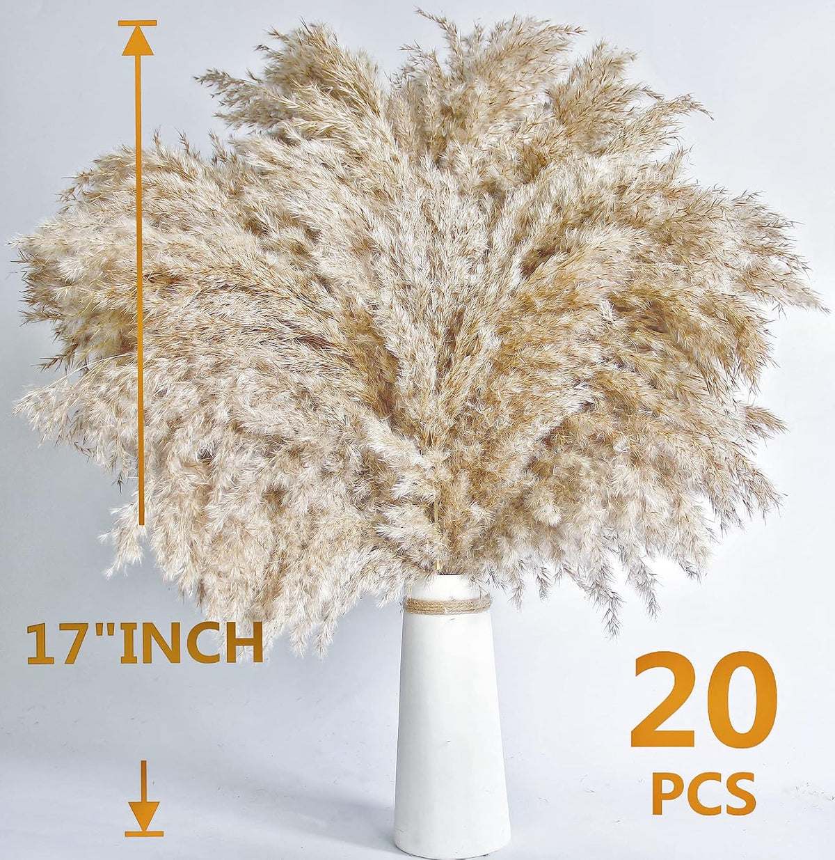 Boho Decor, Fluffy Pompas Grass, Natural Dry Pampas Grass Small, Short Pampass Bulk for Boho Room Decor, Coffee Table Decor (17 inch)