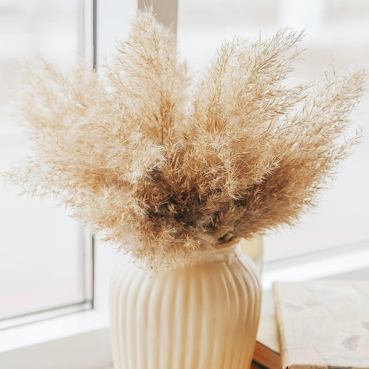Boho Decor, Fluffy Pompas Grass, Natural Dry Pampas Grass Small, Short Pampass Bulk for Boho Room Decor, Coffee Table Decor (17 inch)