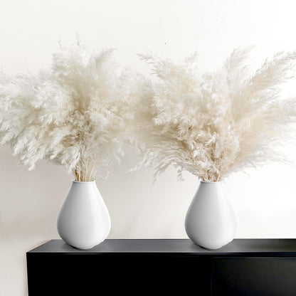 Boho Decor, Fluffy Pompas Grass, Natural Dry Pampas Grass Small, Short Pampass Bulk for Boho Room Decor, Coffee Table Decor (17 inch)