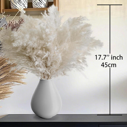 Boho Decor, Fluffy Pompas Grass, Natural Dry Pampas Grass Small, Short Pampass Bulk for Boho Room Decor, Coffee Table Decor (17 inch)
