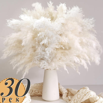 Boho Decor, Fluffy Pompas Grass, Natural Dry Pampas Grass Small, Short Pampass Bulk for Boho Room Decor, Coffee Table Decor (17 inch)