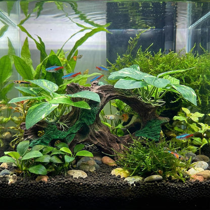 10 PCS Aquarium Decorations Silk Aquarium Plants Betta Fish Tank Decor