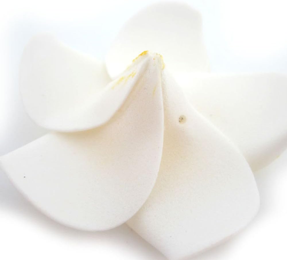 100Pcs White Foam Hawaiian Frangipani Artificial Plumeria Flower Petals Cap Hair Hat Wreath Floral DIY Home Wedding Decoration 5cm
