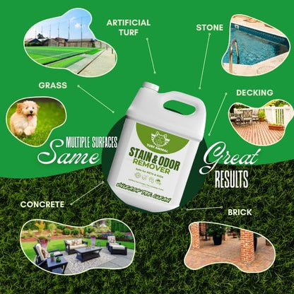 Turf Animal Pet Stain, Dog Urine & Odor Remover, 1 Gallon