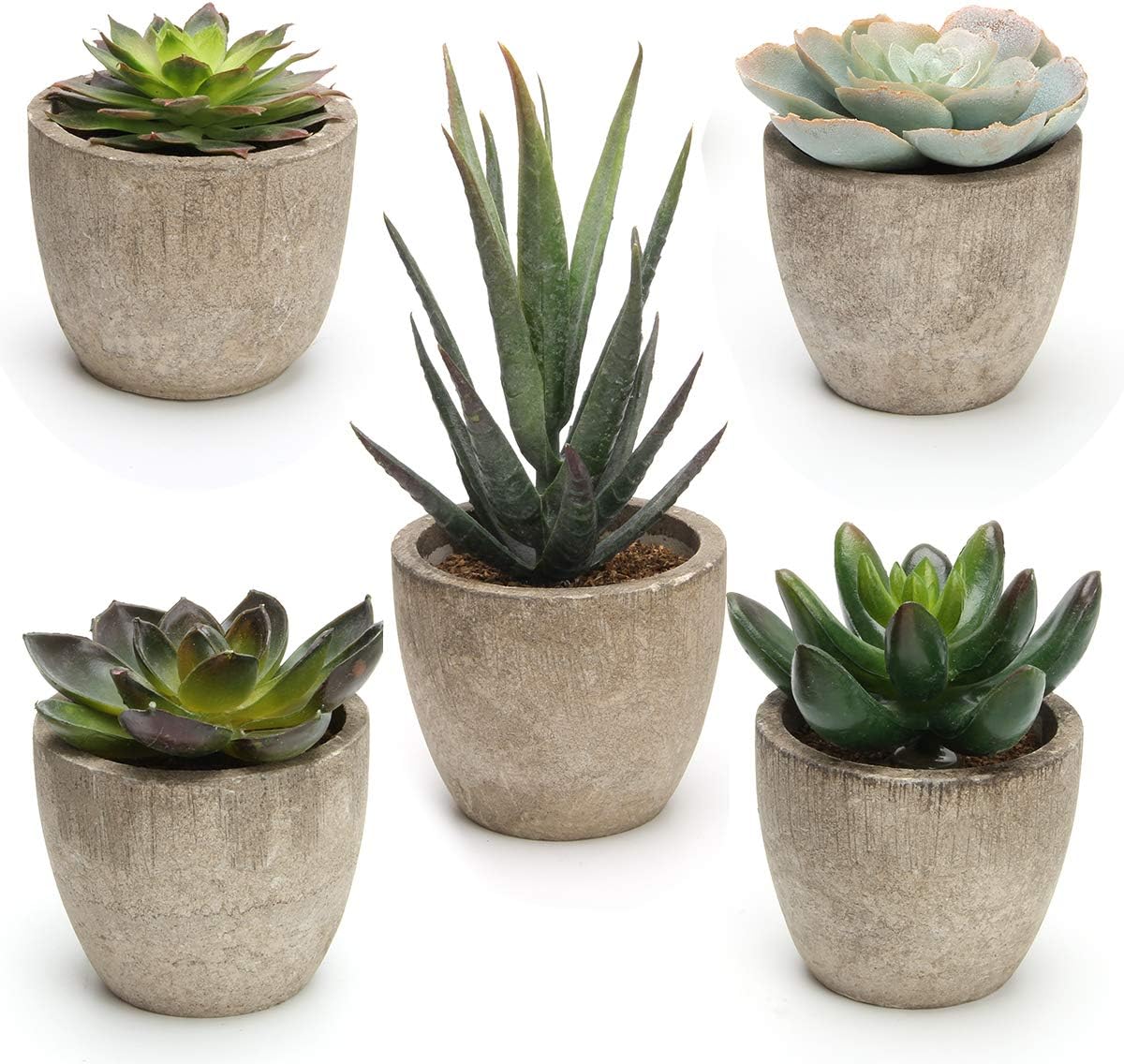 Artificial Succulent Plants Potted, Artificial Plants Indoor, 5 PCS
