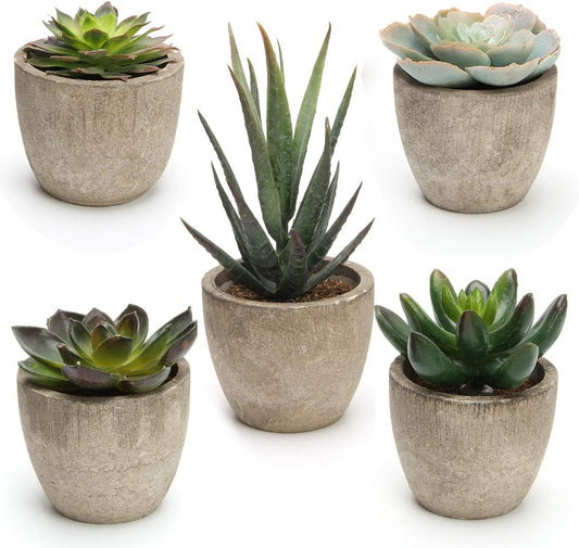 Artificial Succulent Plants Potted, Artificial Plants Indoor, 5 PCS