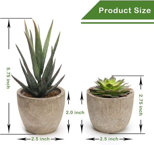 Artificial Succulent Plants Potted, Artificial Plants Indoor, 5 PCS