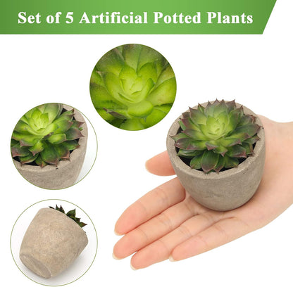 Artificial Succulent Plants Potted, Artificial Plants Indoor, 5 PCS