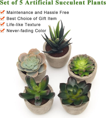 Artificial Succulent Plants Potted, Artificial Plants Indoor, 5 PCS