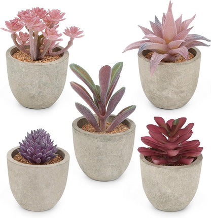 Artificial Succulent Plants Potted, Artificial Plants Indoor, 5 PCS