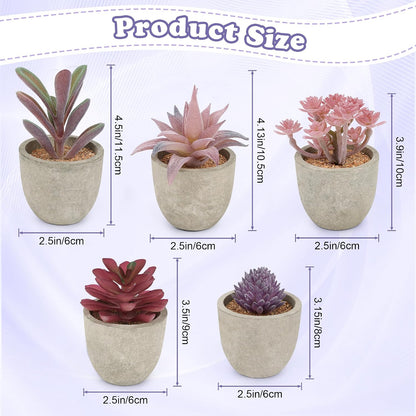 Artificial Succulent Plants Potted, Artificial Plants Indoor, 5 PCS