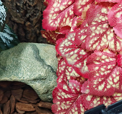 Fake Reptile Plants for Terrarium,Habitat Decor,Artifical Plant