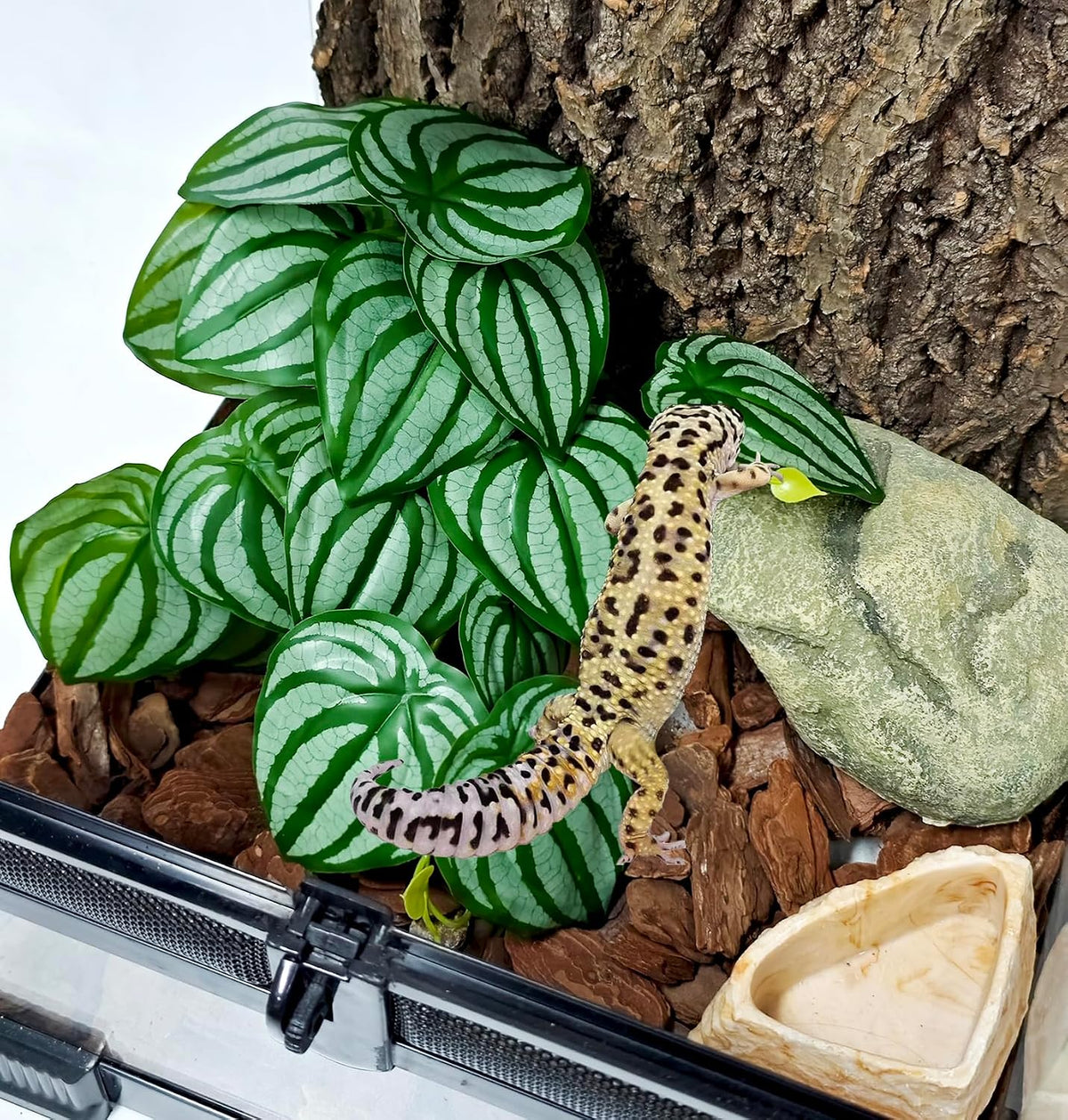 Fake Reptile Plants for Terrarium,Habitat Decor,Artifical Plant