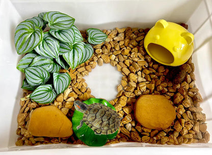 Fake Reptile Plants for Terrarium,Habitat Decor,Artifical Plant