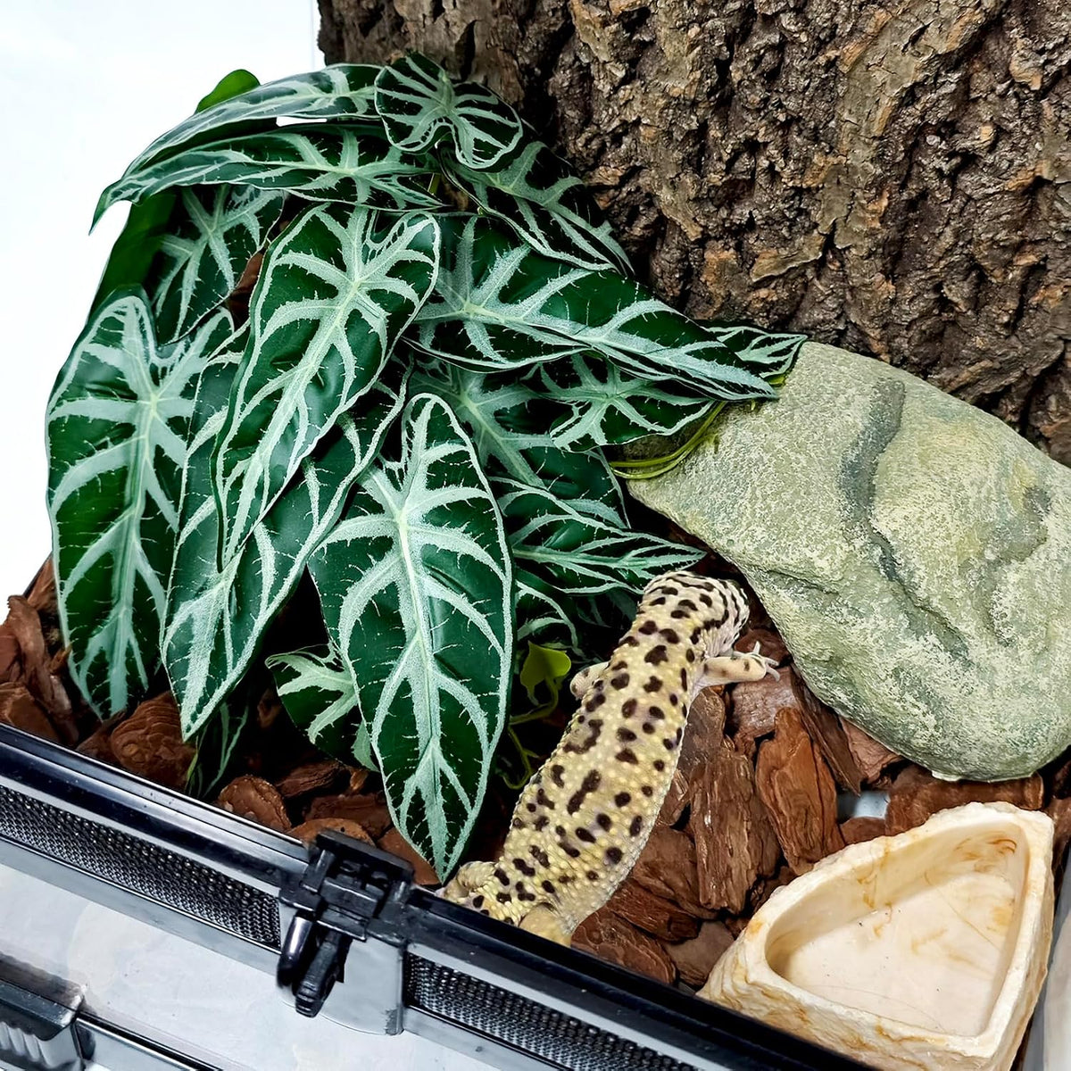 Fake Reptile Plants for Terrarium,Habitat Decor,Artifical Plant