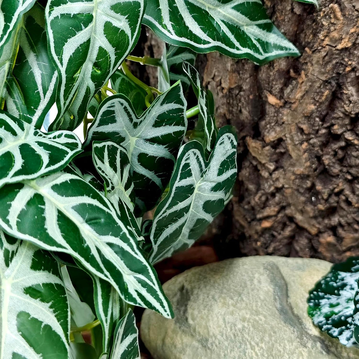 Fake Reptile Plants for Terrarium,Habitat Decor,Artifical Plant