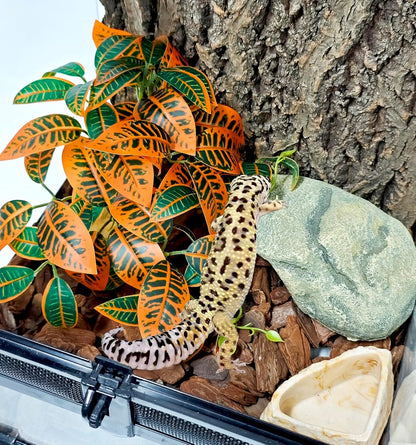Fake Reptile Plants for Terrarium,Habitat Decor,Artifical Plant
