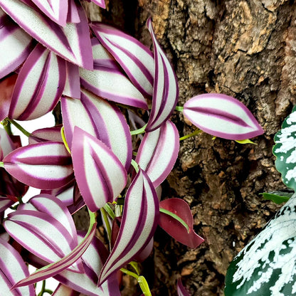 Fake Reptile Plants for Terrarium,Habitat Decor,Artifical Plant