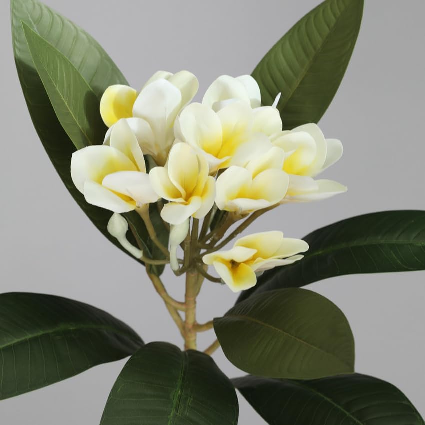 2PCS Artificial Plumeria Frangipani Flower Long Stem Real Touch Lifelike for Wedding Home Party Autumn Flowers Decoration (70CM, Beige)