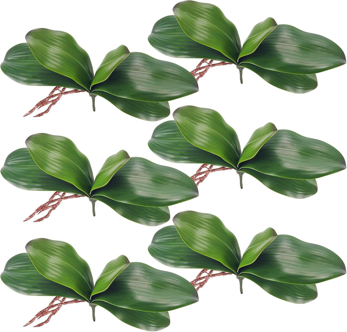 Faux Orchid Leaves Only, Greenery Stems for DIY Arrangements